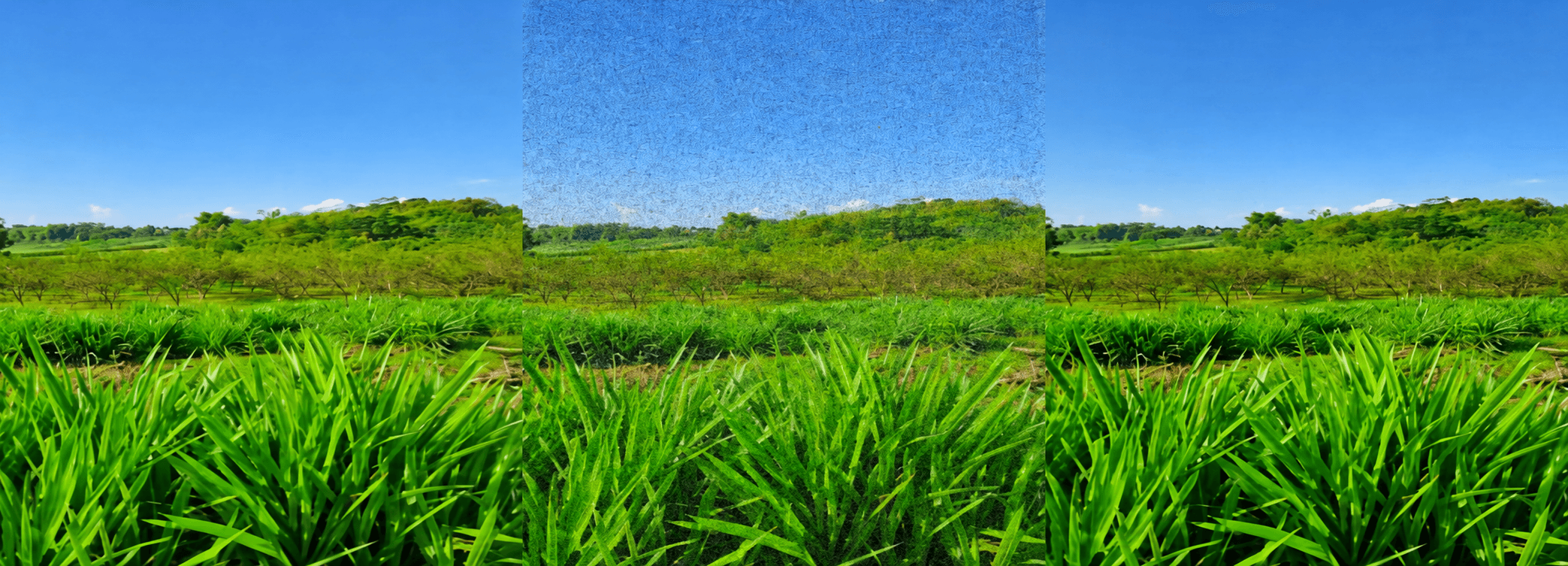Color Image Denoising with Salt-and-Pepper Noise and Median Filter in Python